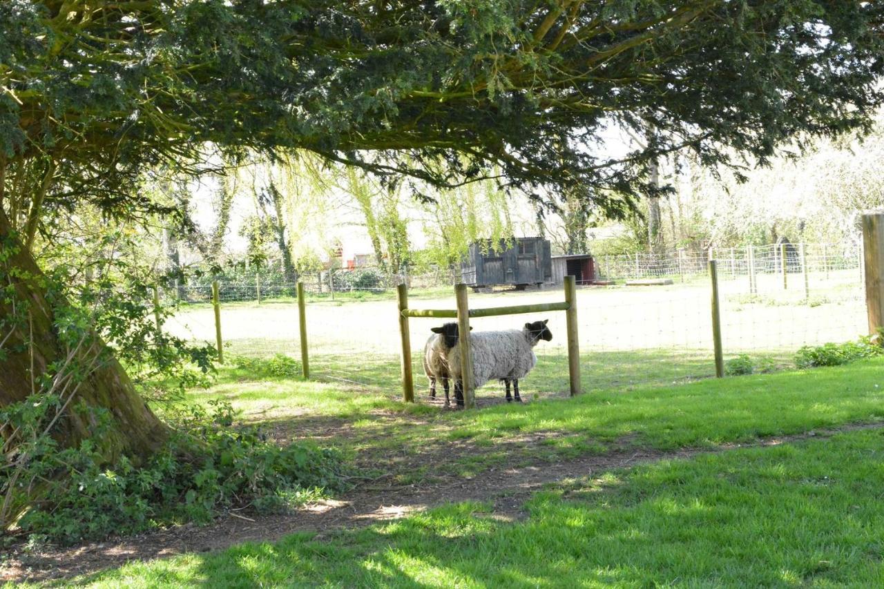 Willa Yew Tree Farm Barn, Worlingworth Zewnętrze zdjęcie